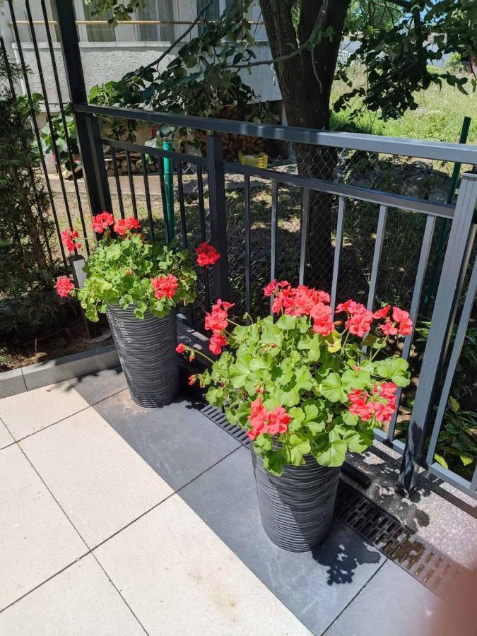 Apartament Kali أتوبول المظهر الخارجي الصورة